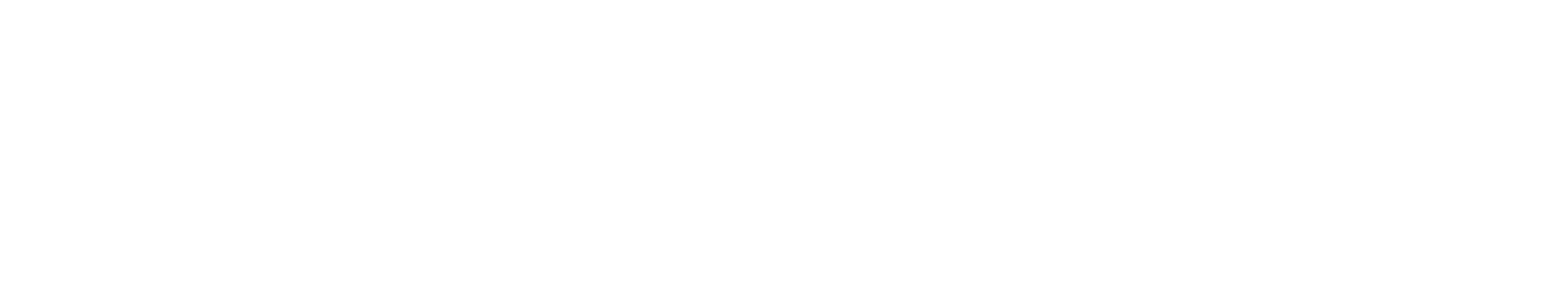 Tecserlan Logo